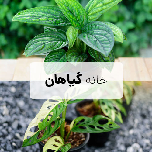 فروشگاه اینترنتی فارسی